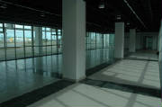 picture15.gif.jpg