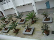 picture6.gif.jpg